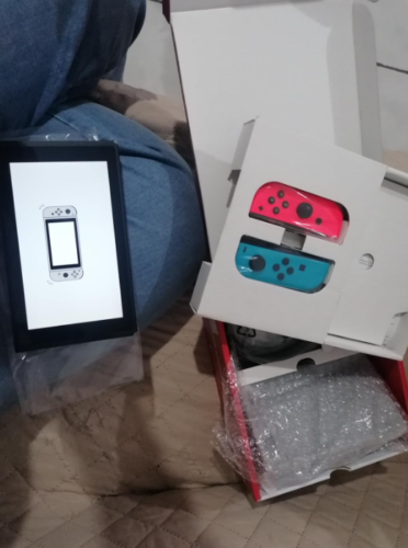 Nintendo Switch photo review
