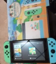 Nintendo Switch Animal Crossing photo review