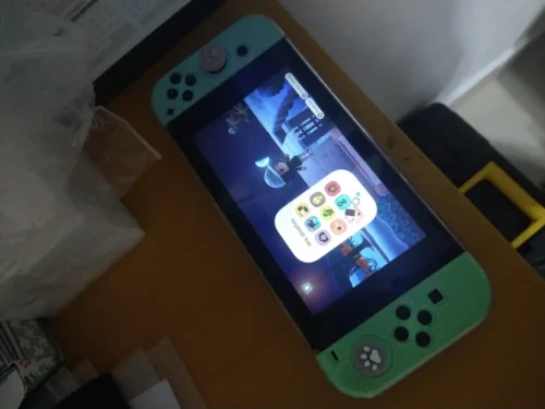 Nintendo Switch Animal Crossing photo review