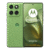 Verde Shamrock